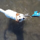 Dappere DJ zelf het water in