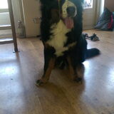 Foto van Cindy
