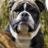 eerste keer dat hij op de foto wou in het park:)