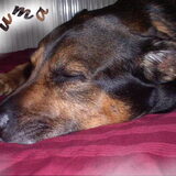 Numa op bed december 2009