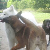 Foto van Team Black & White