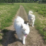 Foto van Team Black & White