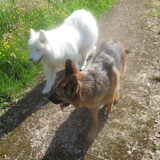 Foto van Team Black & White