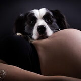 Foto van Mellow BFJ Miracle of my Life