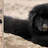 Spelen in het zand, met haar snoet vol, wat is dat leuk !!!!