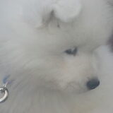 ahhh zooo lief
