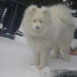 Snow!
