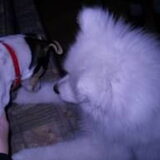 fedor met luna!!!