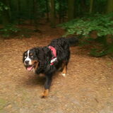 Foto van Cindy