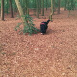 Foto van Cindy