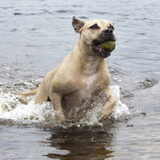 Misia in haar element!