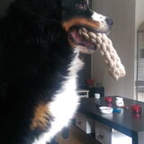 Foto van Cindy