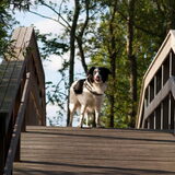 Foto van Angelique; Bruno, Charlie & Fenna