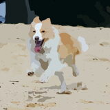 Foto van Johanna van der Looij