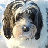 In de sneeuw!