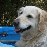 wat was het warm deze zomer