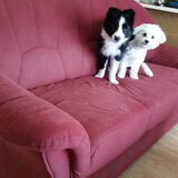Foto van Lucia, Lizzy & Ziva