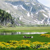 Italie, Alpen.