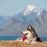 Trektocht Lofoten.