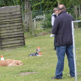 Foto van Lotte en Lola