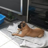 Foto van Kimberley