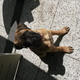 Foto van Kimberley