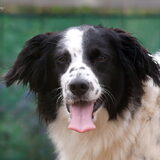 Foto van Angelique; Bruno, Charlie & Fenna