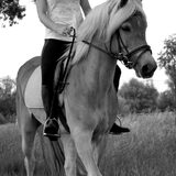 Foto van Dutchshepherdteam