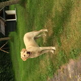 James is een hele aanvulling op ons leven, en 7 maanden alweer.. pffoe…