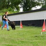Foto van sylvia