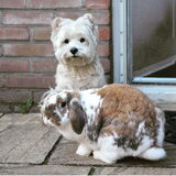 Foto van Nicole, Guus, Flynn & Puk