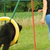 Foto van sylvia