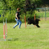 Foto van sylvia