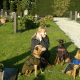 Mooi stel.. herfst 2011... Demi is ruim 16 jaar geworden... en op 31…