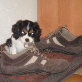 Foto van Kelly en Scylla