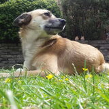 Foto van Fabienne & Joy