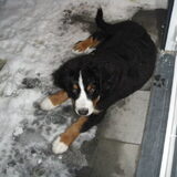 Foto van Constance R.I.P. Beau