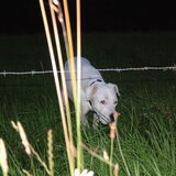 Foto van Martine