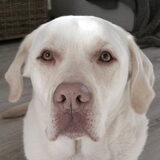 Foto van esther