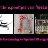 Foto van Sigrid, Sandy, Diva & Nala