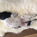 Foto van Doortje & Tibbe