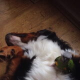Foto van Cindy