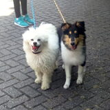 Foto van ~ Luna & Lèxi ~