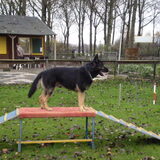 behendigheid