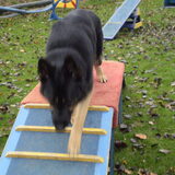Foto van minoes