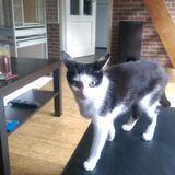 Foto van Cindy