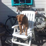 Foto van Michelle, baasje van Scotty en kater Charlie †
