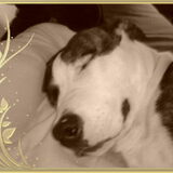 is die niet schattig? :-)