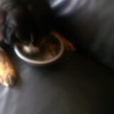 Foto van Cindy