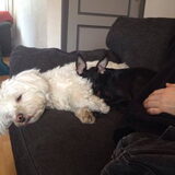 Foto van Eline, Gruul en Thalia